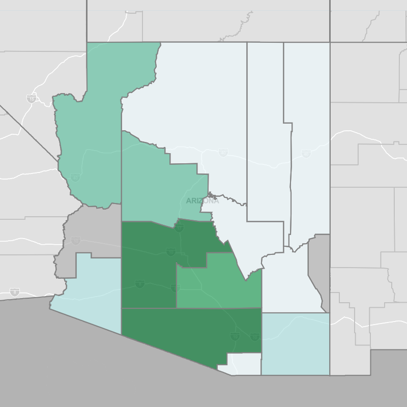 State of Arizona Demographic Map